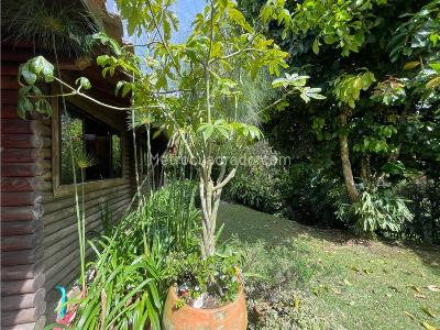 Casa de 4 alcobas en arriendo en Via San Antonio La Ceja, Rionegro · foto 20 de 20