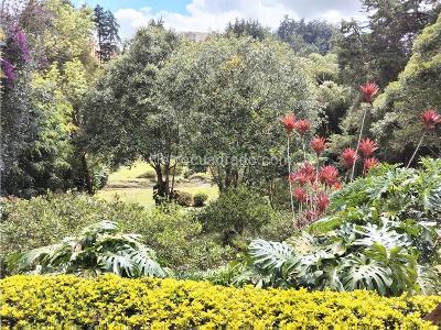 Casa de 5 alcobas en venta en Llanogrande, Rionegro · foto 9 de 9