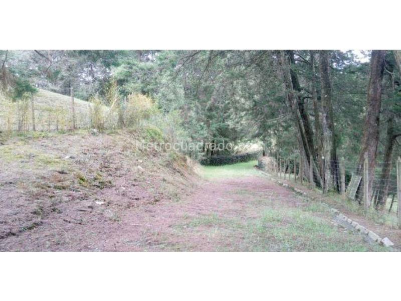 Lote en Venta, Alto De Las Palmas, Envigado - Vista 4