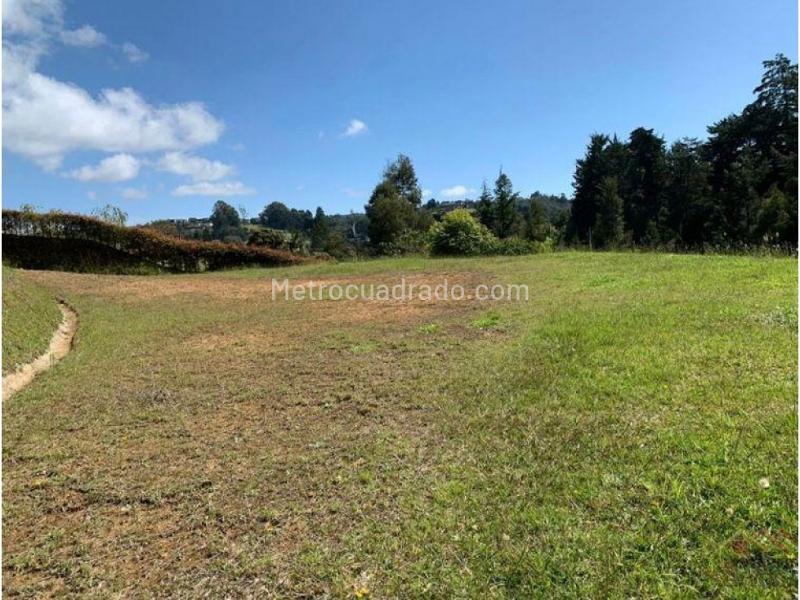 Lote en Venta, Alto De Las Palmas, Envigado - Vista 5