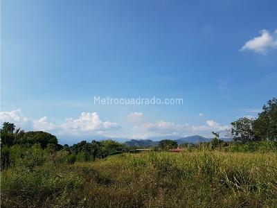 Lote en Venta, Cerritos, Pereira