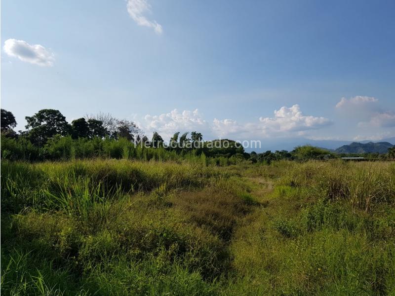 Lote en Venta, Cerritos, Pereira - Vista 5