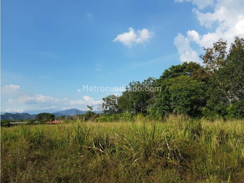 Lote en Venta, Cerritos, Pereira - Más