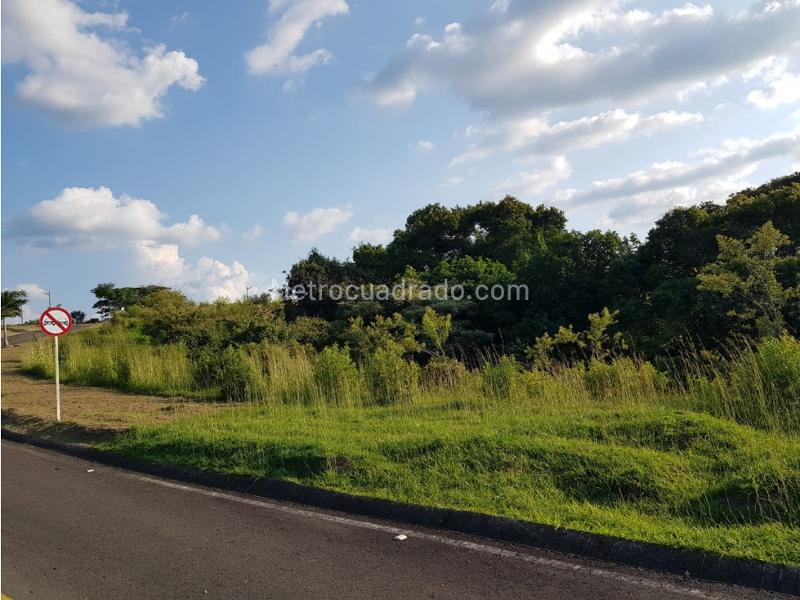 Lote en Venta, Cerritos, Pereira - Vista 3