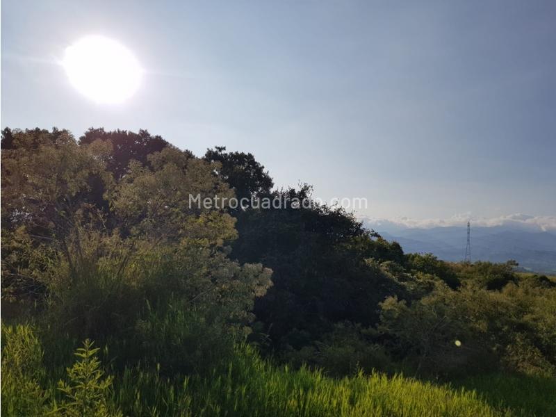 Lote en Venta, Cerritos, Pereira - Vista 4
