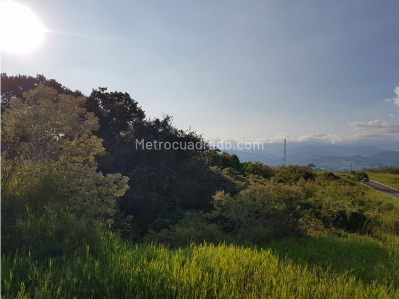 Lote en Venta, Cerritos, Pereira - Vista 5