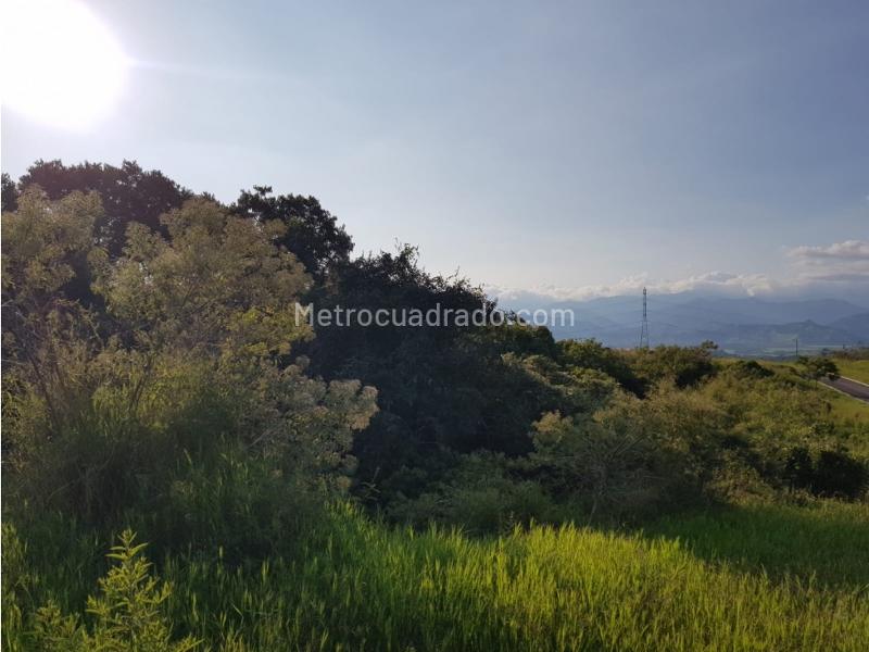 Lote en Venta, Cerritos, Pereira - Más