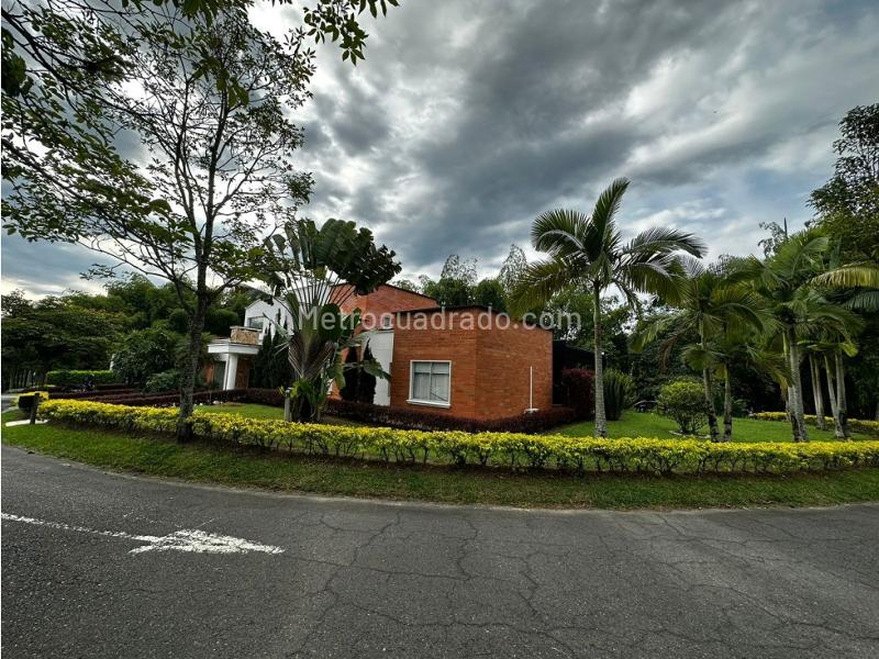 Casa – Pereira - Más