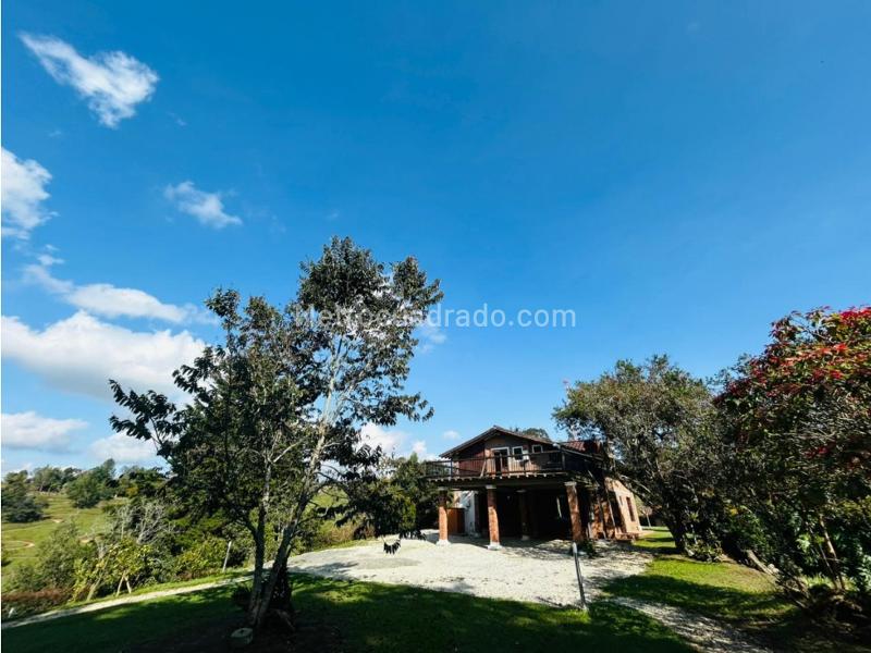 3BR House in San Antonio De Pereira (3650 m²) - 5