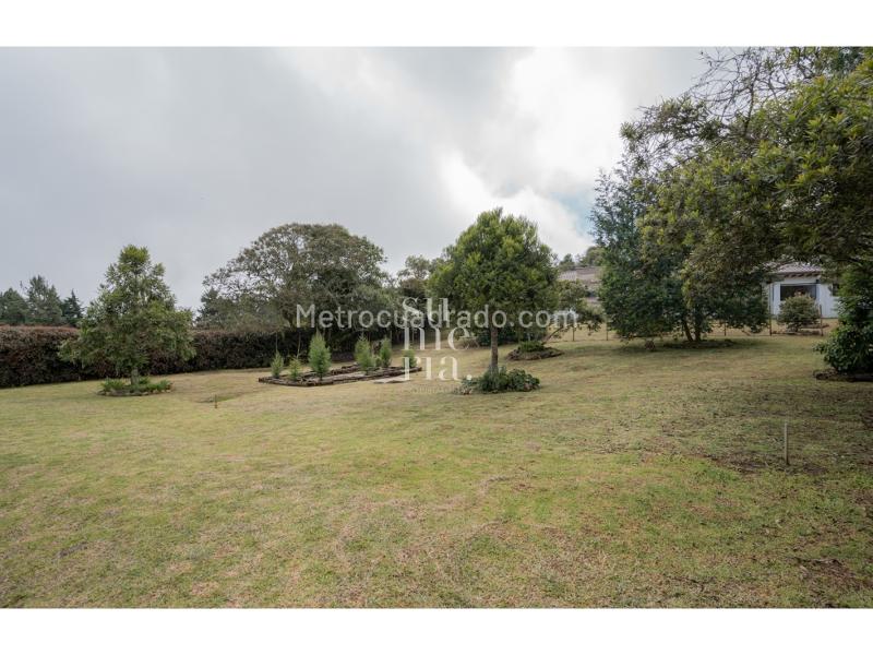 Luxury Country House in Santa Elena - 4