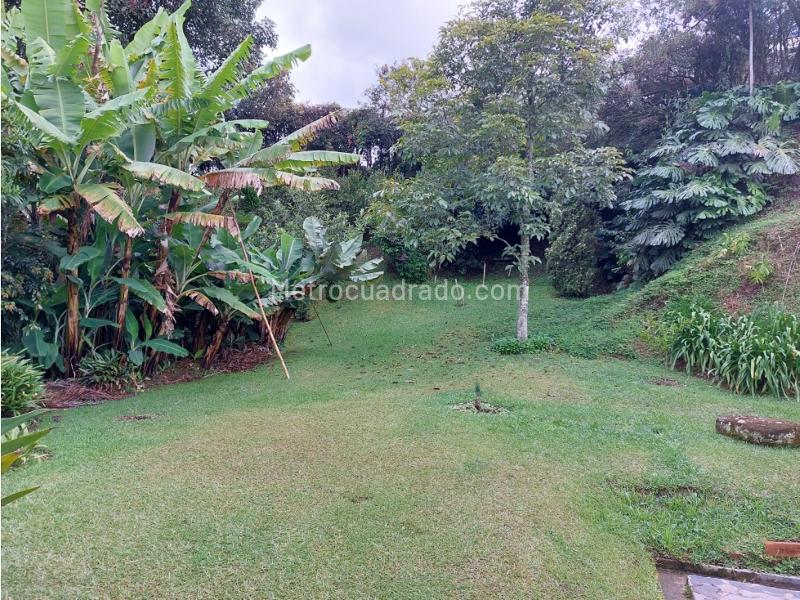 Casa en Arriendo, Via La Fe, Retiro - 5