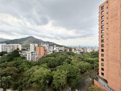 Apartamento en venta en La Arboleda, Cali · foto 7 de 20