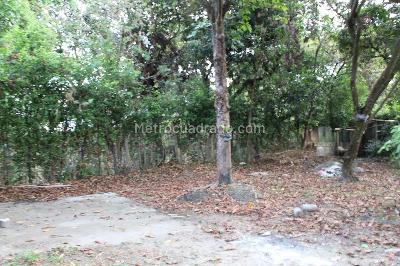 Casa de 4 alcobas en venta en Pedregal, Ibagué, 140 m² · foto 12 de 15