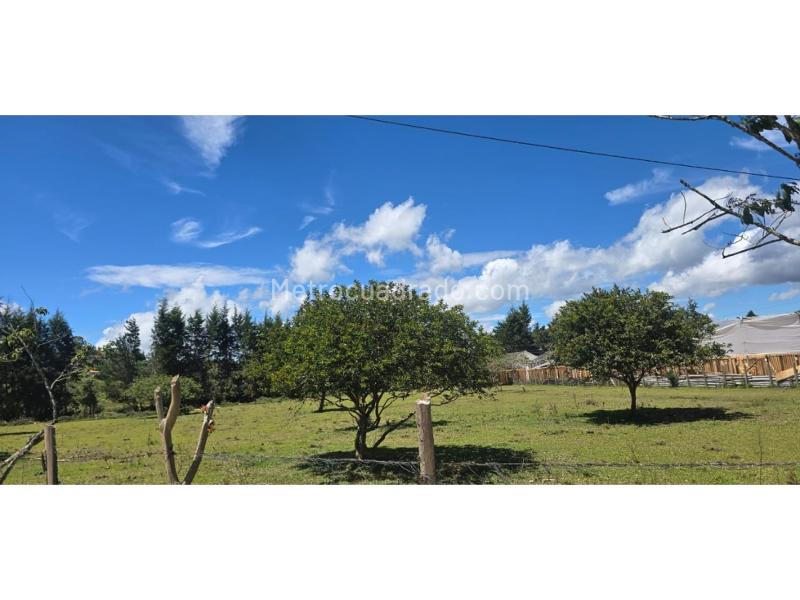 Lote en Venta, Rionegro, Rionegro - Más