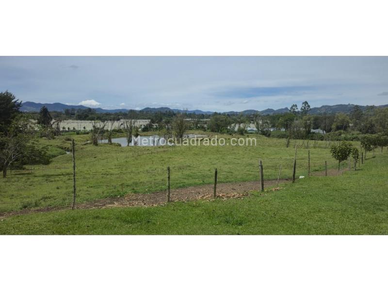 Lote en Venta, Llano Grande, Rionegro - Más