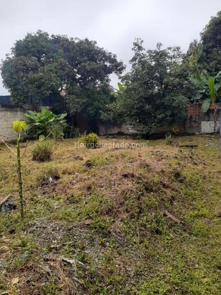 Lote en Venta, SECTOR MONTECARLO, Ibagué - Vista 5
