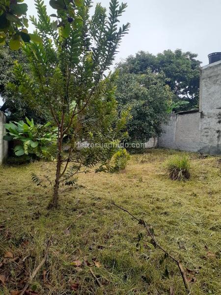 Lote en Venta, SECTOR MONTECARLO, Ibagué - Más