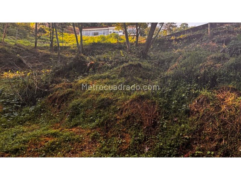 Lote en Venta, Palosanto, Manizales - Vista 2