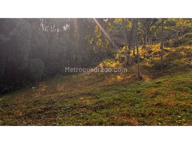Lote en Venta, Palosanto, Manizales - Vista 3