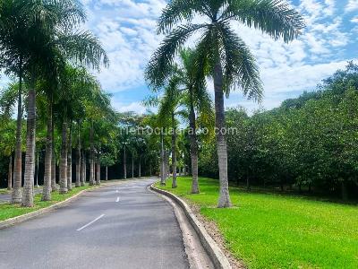 Casa de 4 alcobas en venta en Palma Campestre, Villavicencio, 220 m² · foto 12 de 20