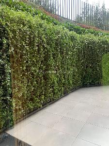 Apartamento de 3 alcobas en venta en North Point, Bogotá, 116 m² · foto 3 de 20