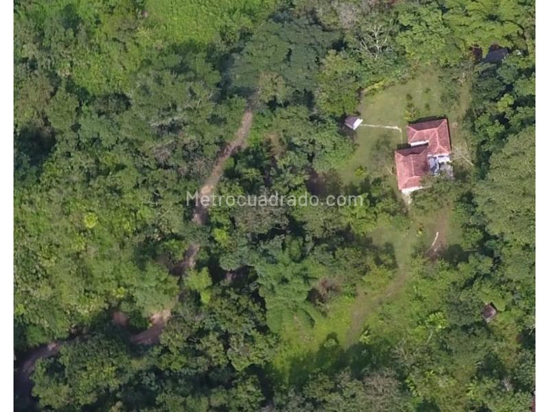 Lote en Venta, Sierra Nevada Minca Campano La Tagua Vista Nieves, Santa Marta - Vista 4