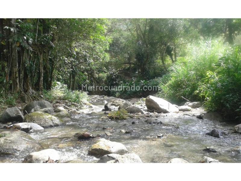 Lote en Venta, Sierra Nevada Minca Campano La Tagua Vista Nieves, Santa Marta - Vista 5