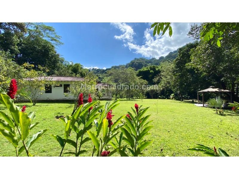 Lote en Venta, Sierra Nevada Minca Campano La Tagua Vista Nieves, Santa Marta - Más