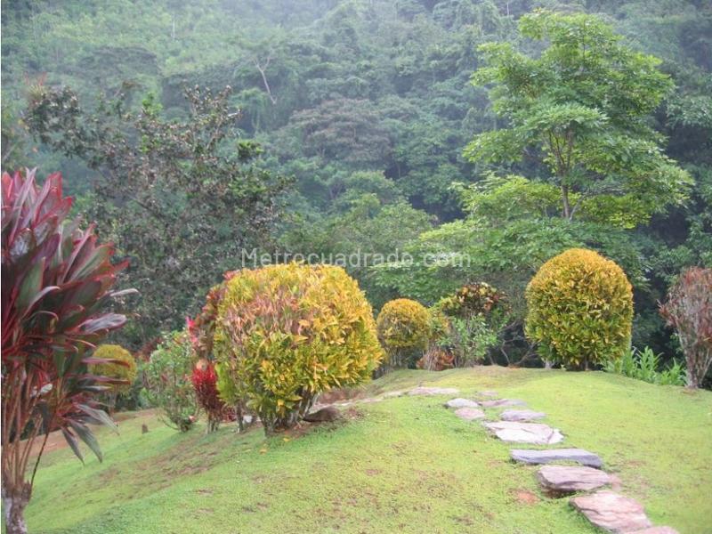Casa – Santa Marta - Vista 2