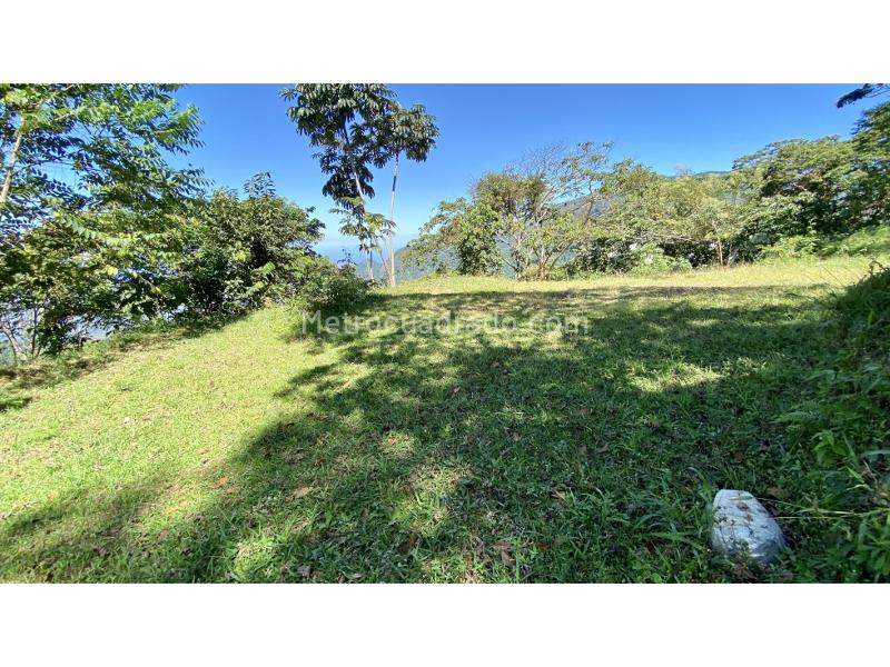 Lote en Venta, Sierra Nevada Minca Campano La Tagua Vista Nieves, Santa Marta - Vista 5