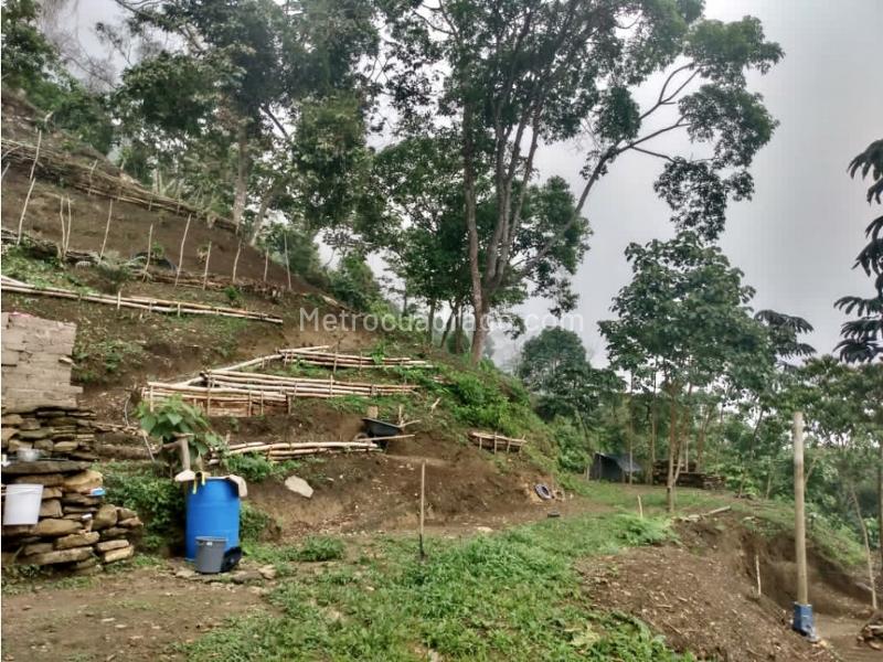 Lote en Venta, Sierra Nevada Minca Campano La Tagua Vista Nieves, Santa Marta - Más