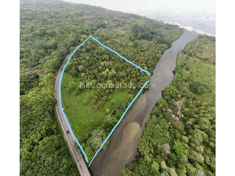 Lote en Venta, Naranjos Buritaca Palomino, Santa Marta - Vista 2