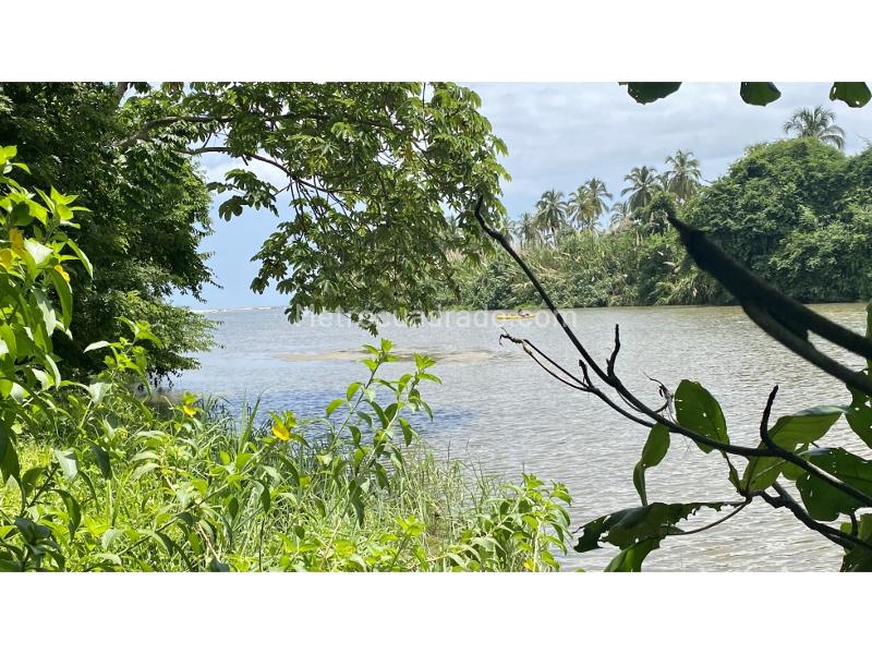 Lote en Venta, Naranjos Buritaca Palomino, Santa Marta - Vista 5