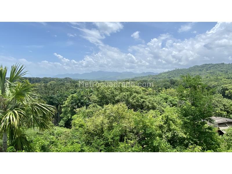 Lote en Venta, Naranjos Buritaca Palomino, Santa Marta - Más