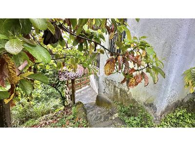 Casa de 3 alcobas en venta en Sierra Nevada Minca Campano La Tagua Vista Nieves, Santa Marta · foto 5 de 20