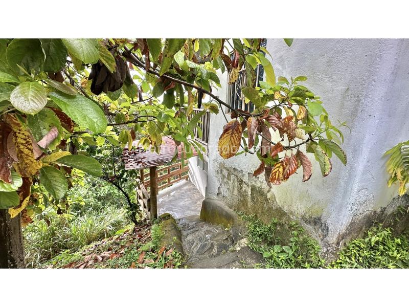 Casa – Santa Marta, Vereda Los Naranjos - Más