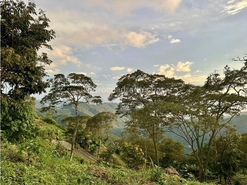 Lote en Venta, Sierra Nevada Minca Campano La Tagua Vista Nieves, Santa Marta - Vista 2