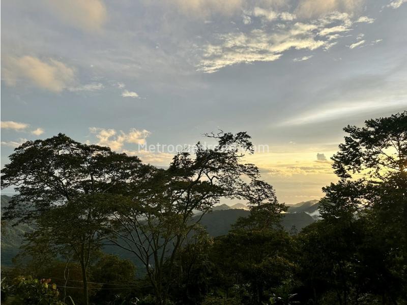 Lote en Venta, Sierra Nevada Minca Campano La Tagua Vista Nieves, Santa Marta - Vista 3
