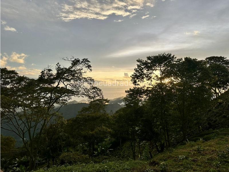 Lote en Venta, Sierra Nevada Minca Campano La Tagua Vista Nieves, Santa Marta - Vista 4