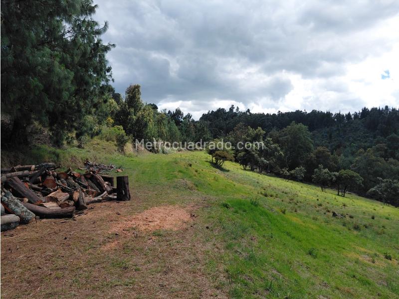 Lote en Venta, Altos De Yerbabuena, Chía - Vista 5