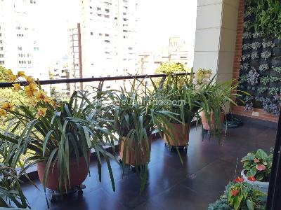 Apartamento de 3 alcobas en venta en La Cabrera, Bogotá, 260 m² · foto 6 de 20