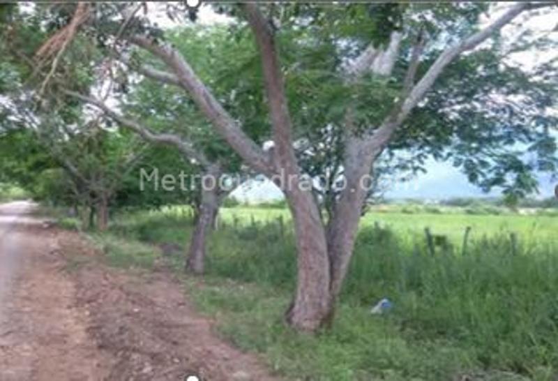 Lote en Venta, Perales, Ibagué - Vista 2