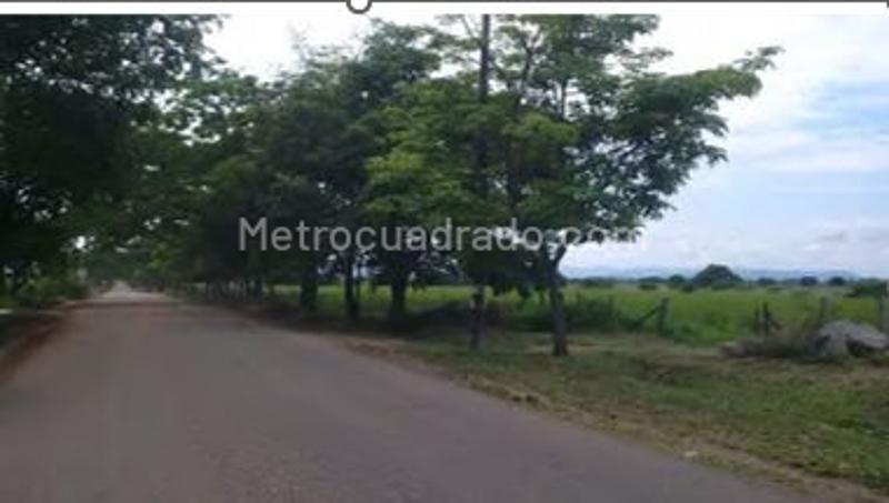 Lote en Venta, Perales, Ibagué - Vista 3