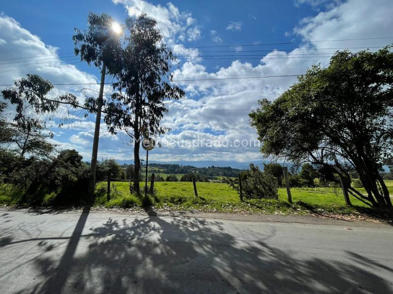 Lote en Venta, Chia, Chía - Vista 4