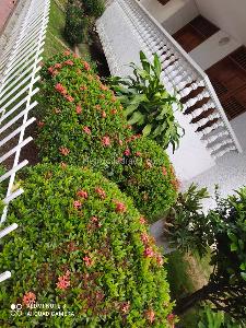 Casa en venta en Quinta Oriental, Cúcuta · foto 20 de 20