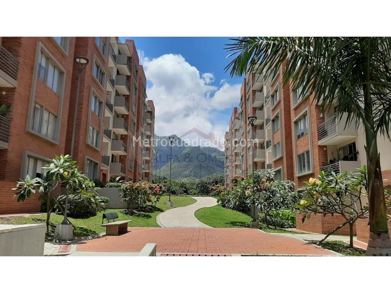 Piso – Ibagué - Vista 3