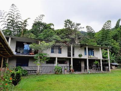 Casa de 4 alcobas en venta en El Salado, Ibagué · foto 2 de 20