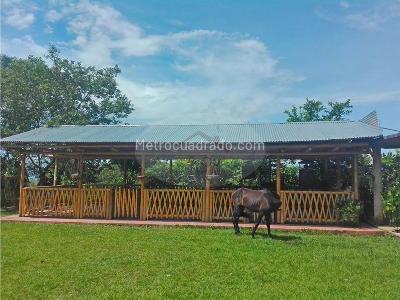 Casa de 4 alcobas en venta en El Salado, Ibagué · foto 5 de 20