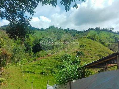 Casa de 4 alcobas en venta en El Salado, Ibagué · foto 17 de 20