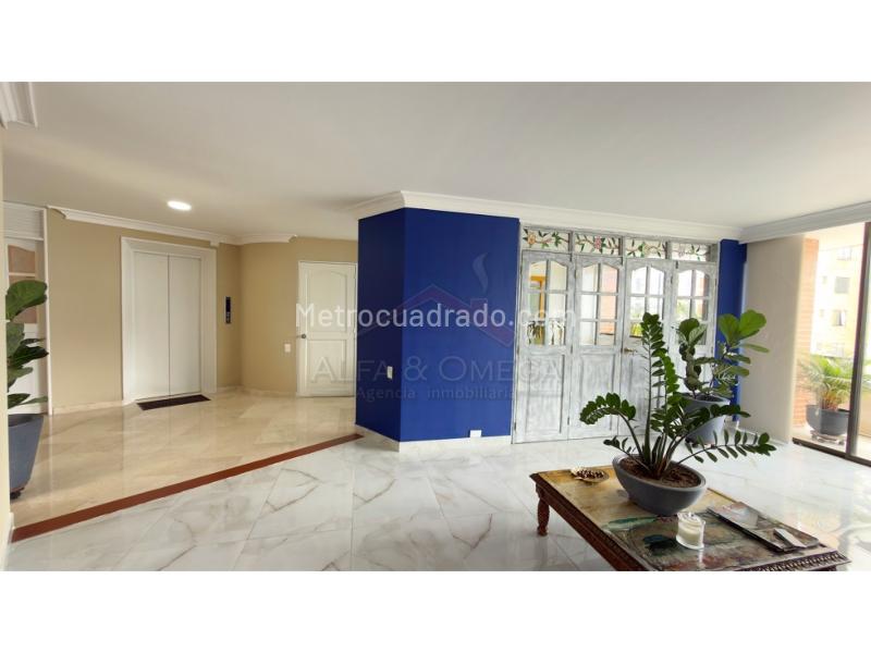 Piso – Ibagué, El Libertador, Comuna 1 - Centro - Vista 4